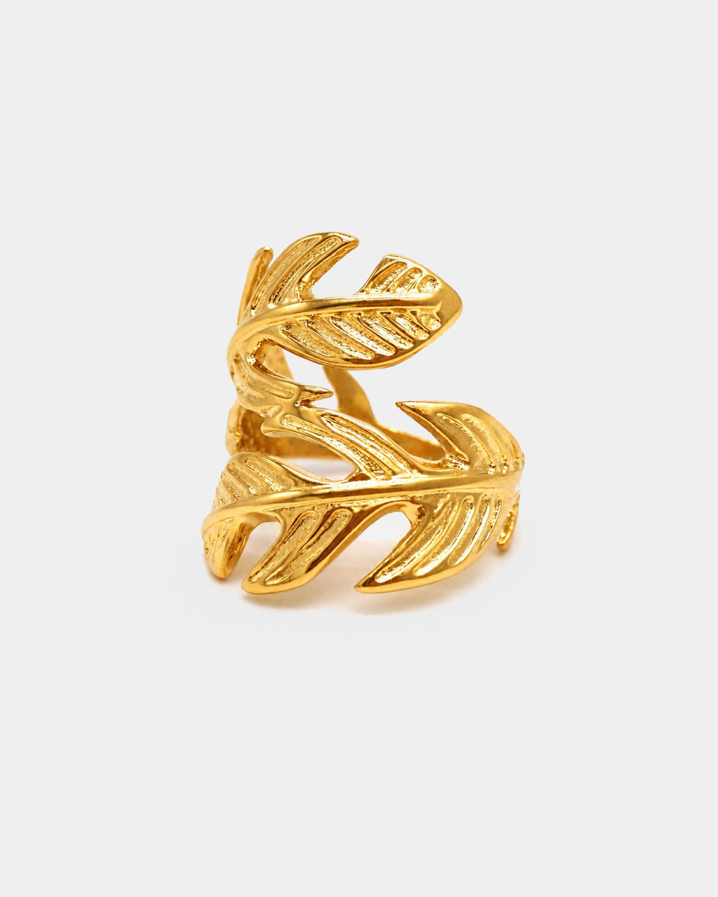 Anillo Mata Atlántica
