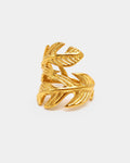 Anillo Mata Atlántica