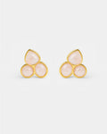 (WH) Pendientes Clover