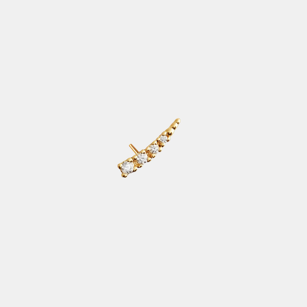 (WH) Single Accent