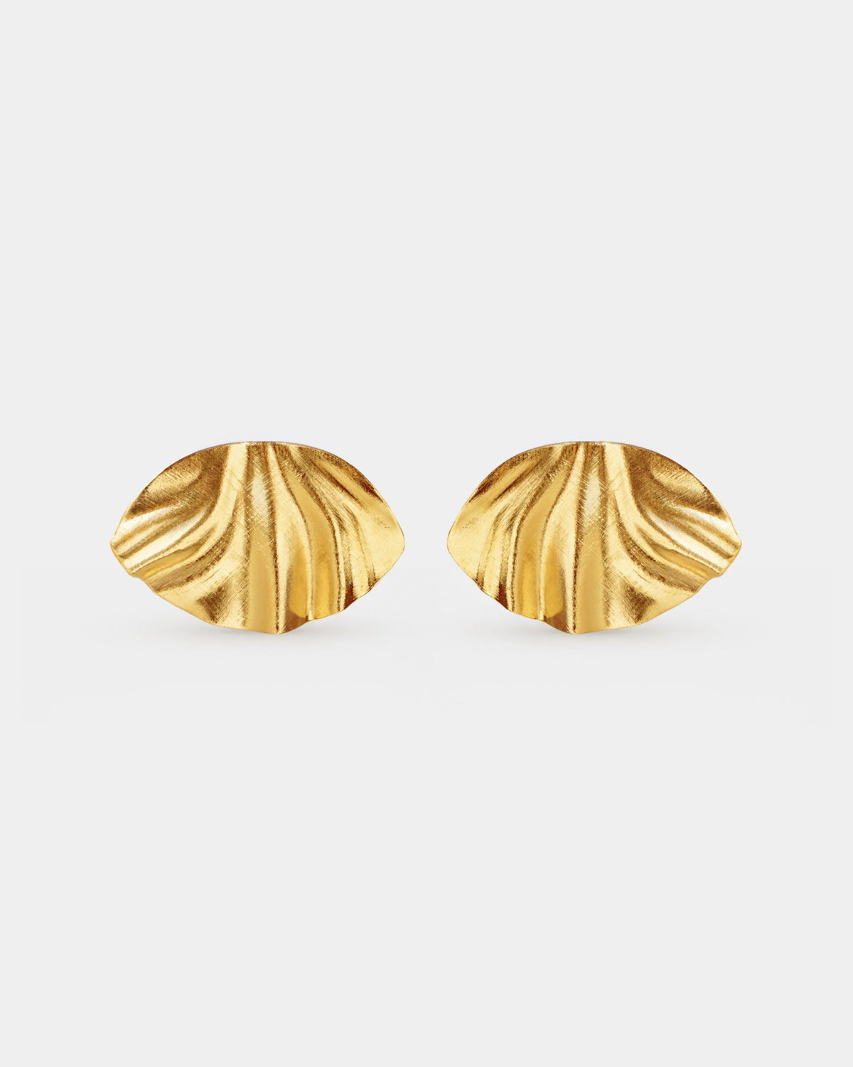 (WH) Pendientes Coquille