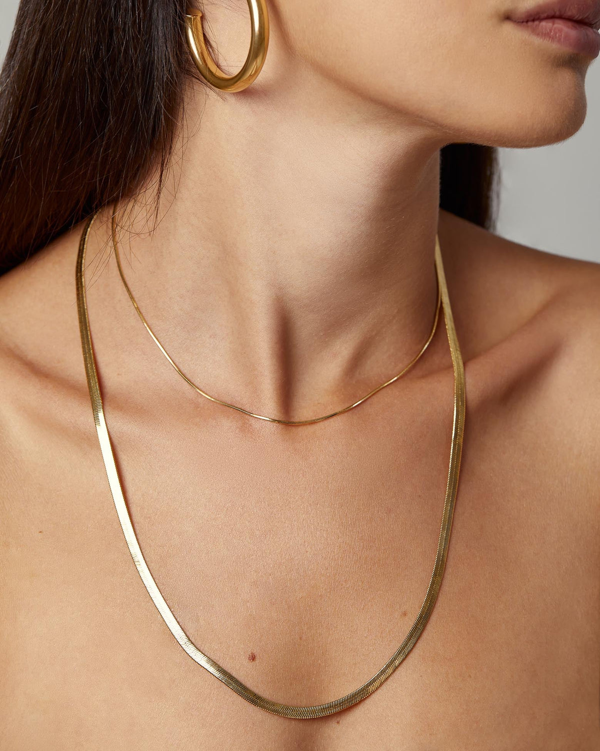 (WH) Collar Snake
